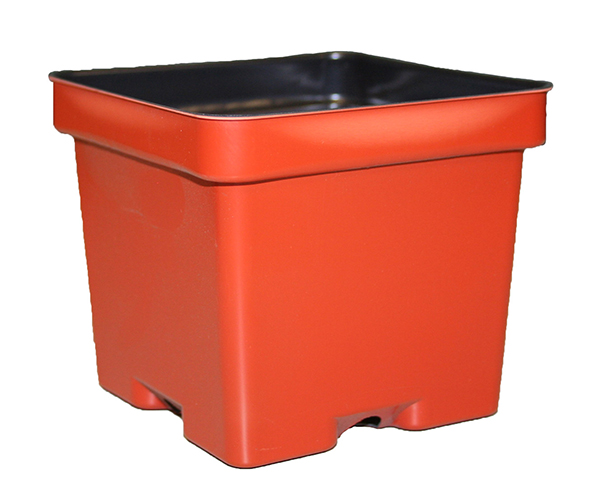 SVD 350 Terra Cotta - 450 per case - Square Pots